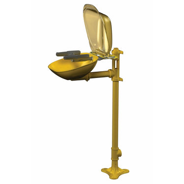 Safety Eye/Face Wash, Floor Mount - Model S19214PDCFW